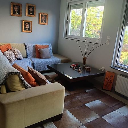 Lefkothea'S House Apartment Atena Exterior foto